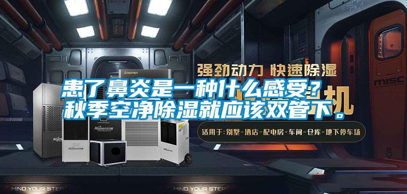 患了鼻炎是一種什么感受？ 秋季空凈除濕就應該雙管下。