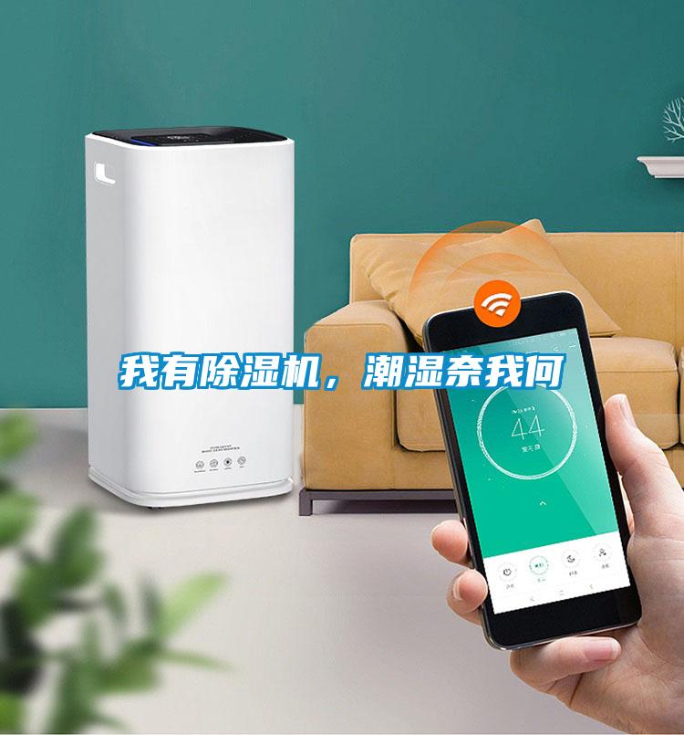 我有除濕機(jī)，潮濕奈我何