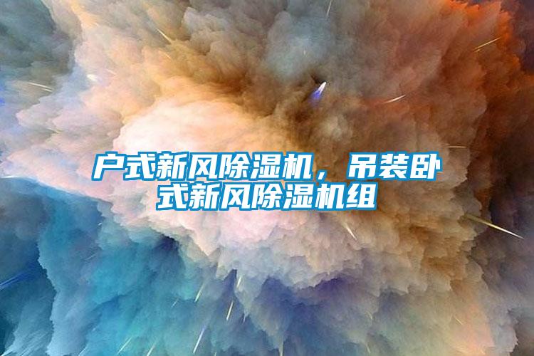 戶式新風(fēng)除濕機(jī)，吊裝臥式新風(fēng)除濕機(jī)組
