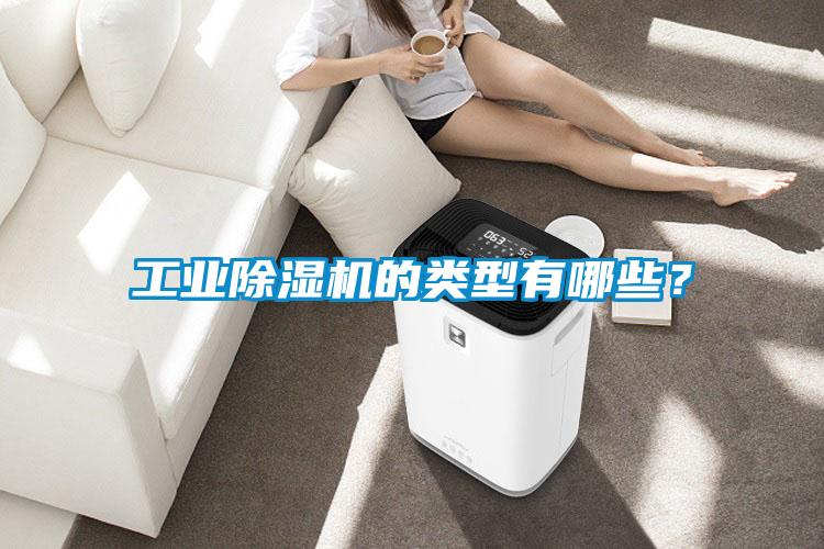 工業(yè)除濕機(jī)的類型有哪些？