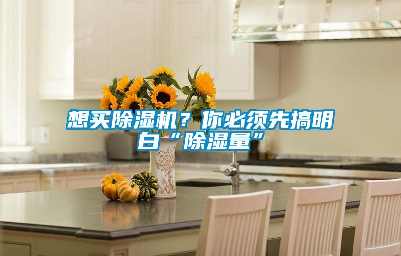 想買除濕機？你必須先搞明白“除濕量”