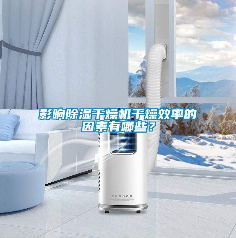 影響除濕干燥機(jī)干燥效率的因素有哪些？