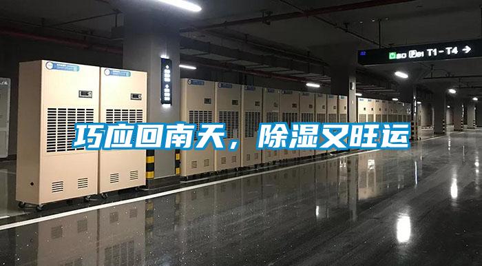 巧應(yīng)回南天，除濕又旺運(yùn)
