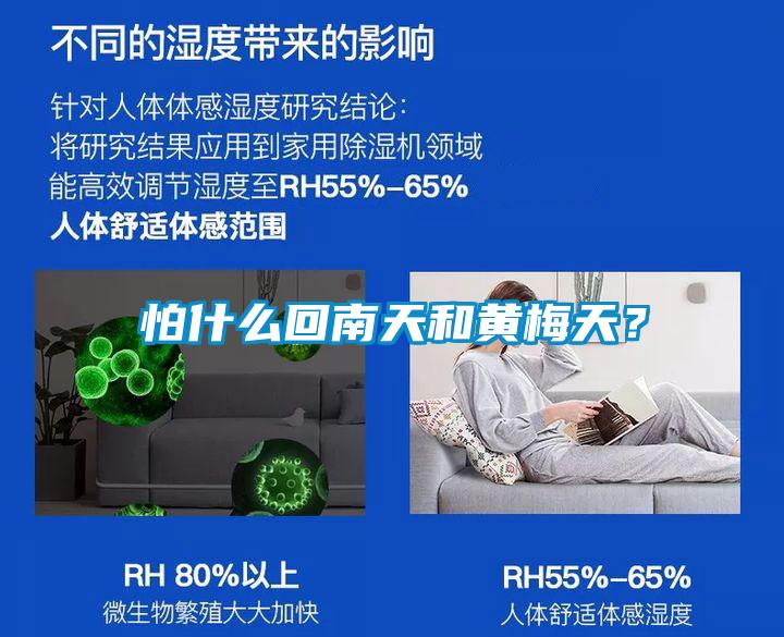 怕什么回南天和黃梅天？