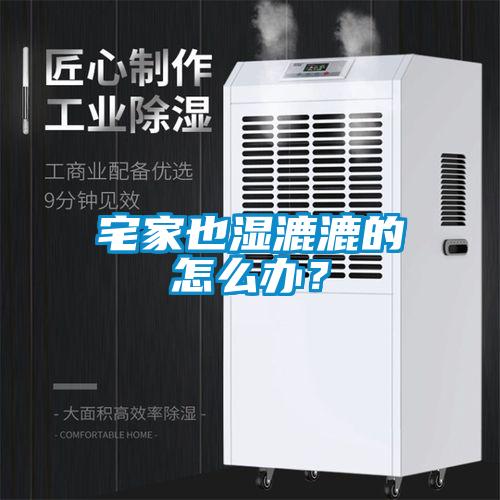 宅家也濕漉漉的怎么辦？