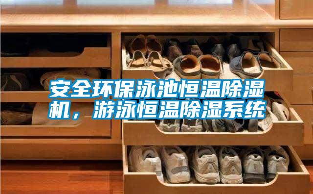 安全環(huán)保泳池恒溫除濕機(jī)，游泳恒溫除濕系統(tǒng)