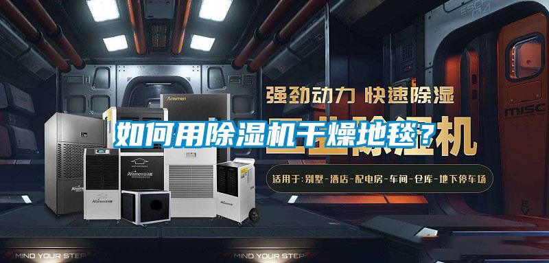 如何用除濕機(jī)干燥地毯？