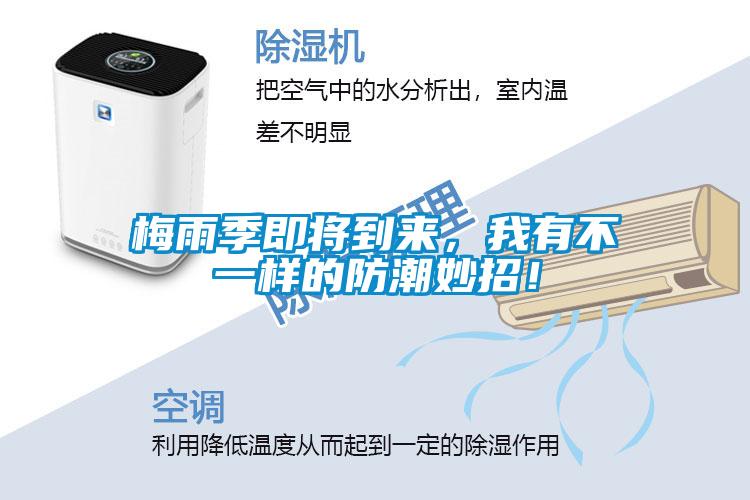 梅雨季即將到來，我有不一樣的防潮妙招！