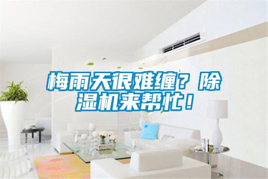 梅雨天很難纏？除濕機來幫忙！