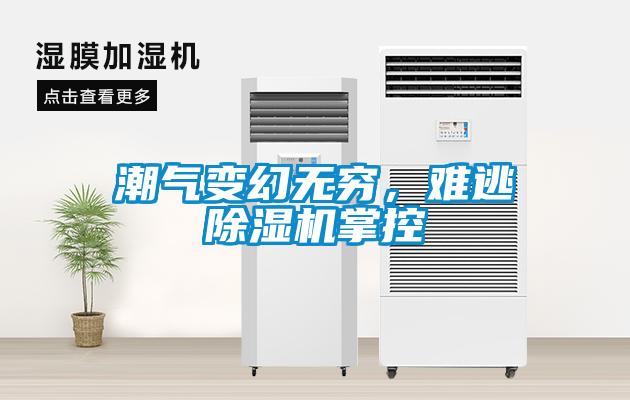 巧用車間除濕機(jī)，解決食品廠車間蒸汽問題