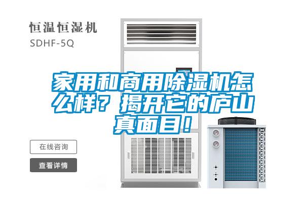 家用和商用除濕機怎么樣？揭開它的廬山真面目！