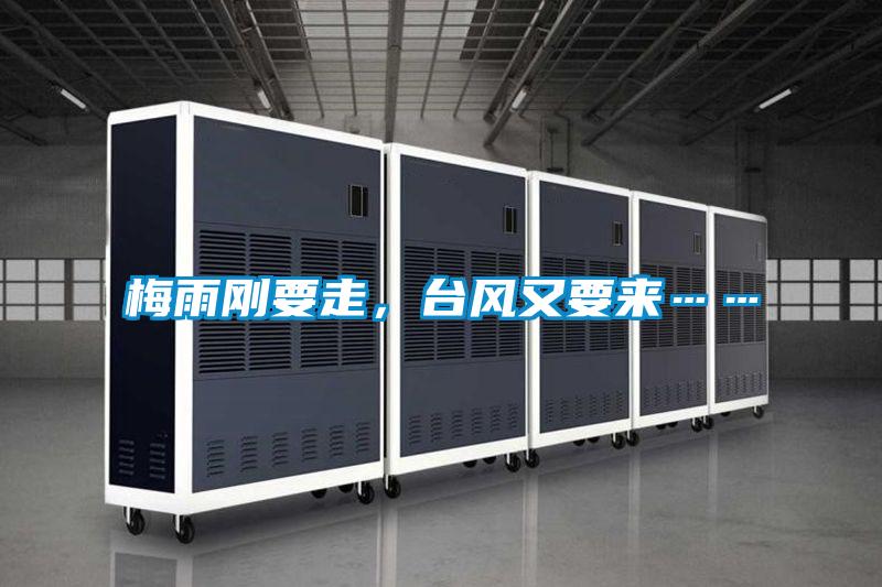 梅雨剛要走，臺風又要來……