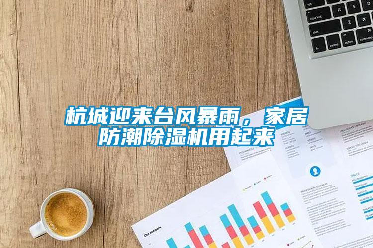 杭城迎來臺風暴雨，家居防潮除濕機用起來