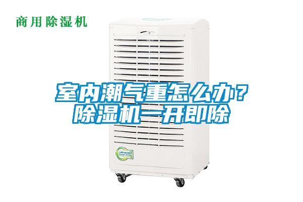 室內(nèi)潮氣重怎么辦？除濕機(jī)一開即除