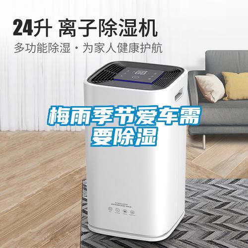 濕氣太重，大不如前！安詩(shī)曼除濕機(jī)還你健康好身體！