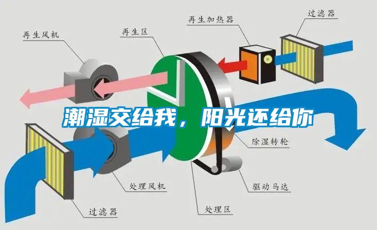 潮濕傷于無形，除濕機來防范