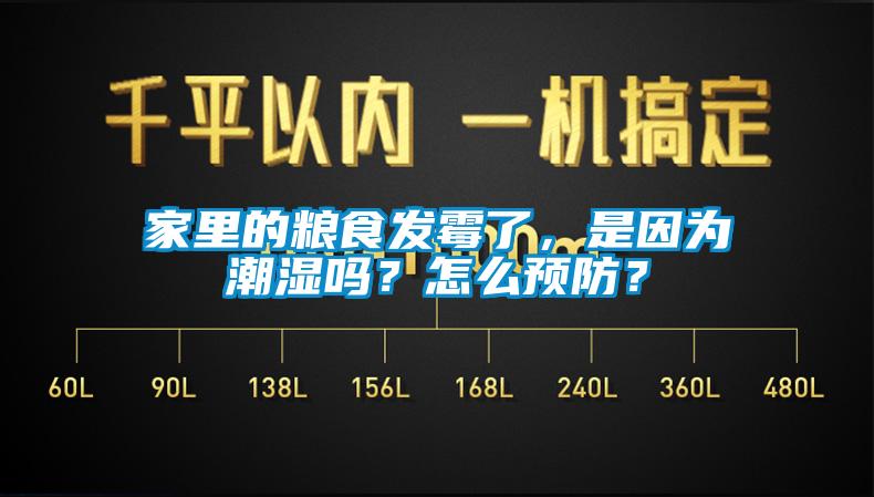 家里的糧食發(fā)霉了，是因?yàn)槌睗駟?？怎么預(yù)防？