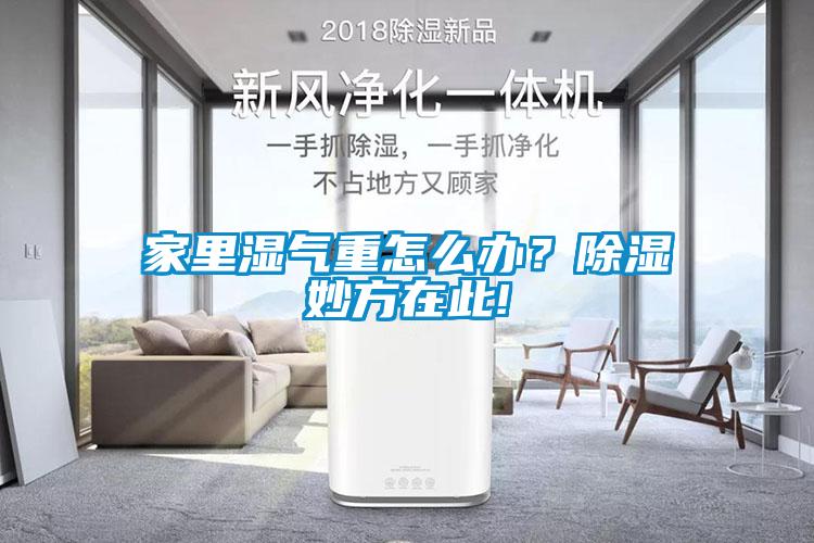 家里濕氣重怎么辦？除濕妙方在此!