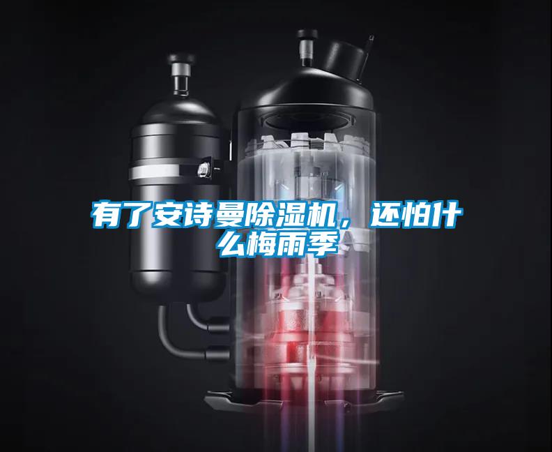 有了安詩(shī)曼除濕機(jī)，還怕什么梅雨季