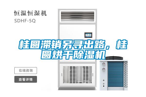 桂圓滯銷另尋出路，桂圓烘干除濕機(jī)