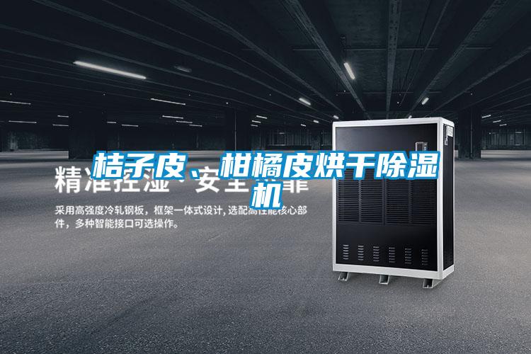 桔子皮、柑橘皮烘干除濕機