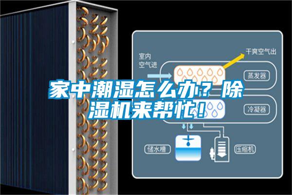 家中潮濕怎么辦？除濕機來幫忙！