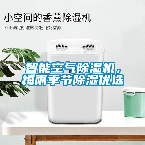 巴西菇、姬松茸烘干機(jī)-怎樣烘干色澤好且菇體褶片完整？