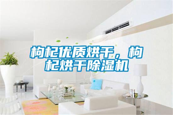 枸杞優(yōu)質(zhì)烘干，枸杞烘干除濕機(jī)