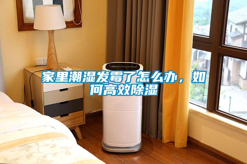 家里潮濕發(fā)霉了怎么辦，如何高效除濕