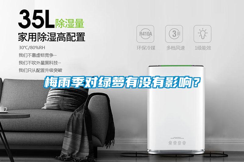 梅雨季對綠蘿有沒有影響？