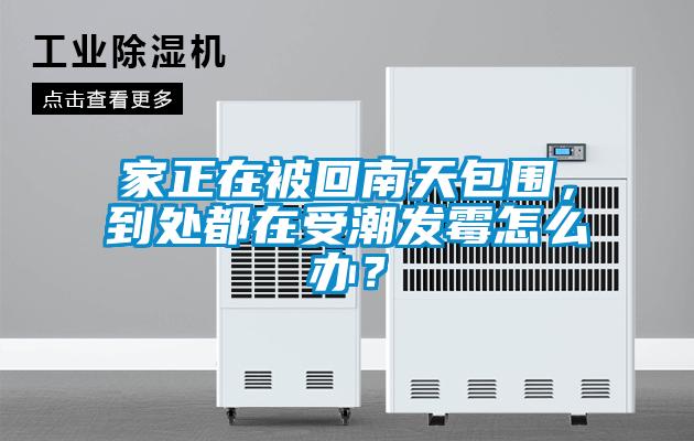 家正在被回南天包圍，到處都在受潮發(fā)霉怎么辦？