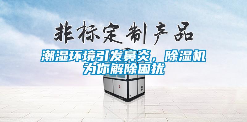 潮濕環(huán)境引發(fā)鼻炎，除濕機(jī)為你解除困擾