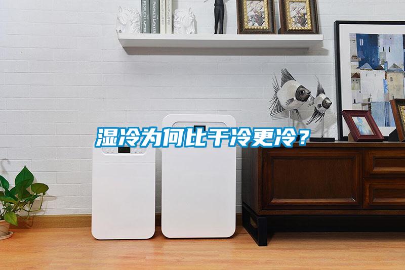 濕冷為何比干冷更冷？