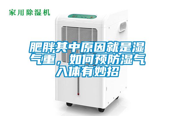 肥胖其中原因就是濕氣重，如何預(yù)防濕氣入體有妙招