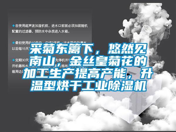 采菊東籬下，悠然見(jiàn)南山，金絲皇菊花的加工生產(chǎn)提高產(chǎn)能，升溫型烘干工業(yè)除濕機(jī)