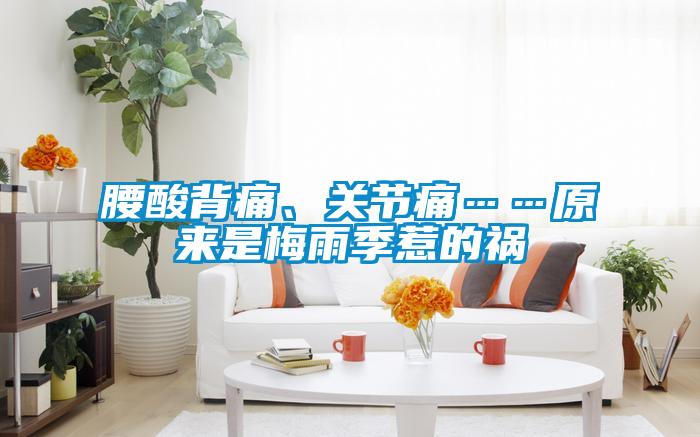 腰酸背痛、關(guān)節(jié)痛……原來(lái)是梅雨季惹的禍