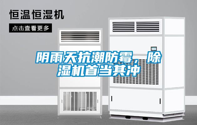 陰雨天抗潮防霉，除濕機首當其沖