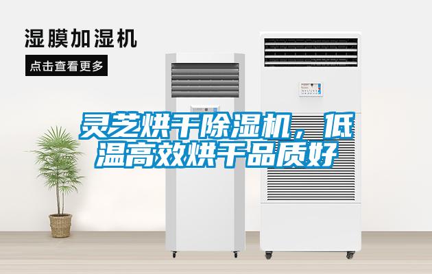 靈芝烘干除濕機，低溫高效烘干品質(zhì)好