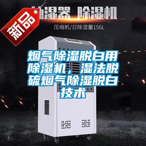 煙氣除濕脫白用除濕機，濕法脫硫煙氣除濕脫白技術