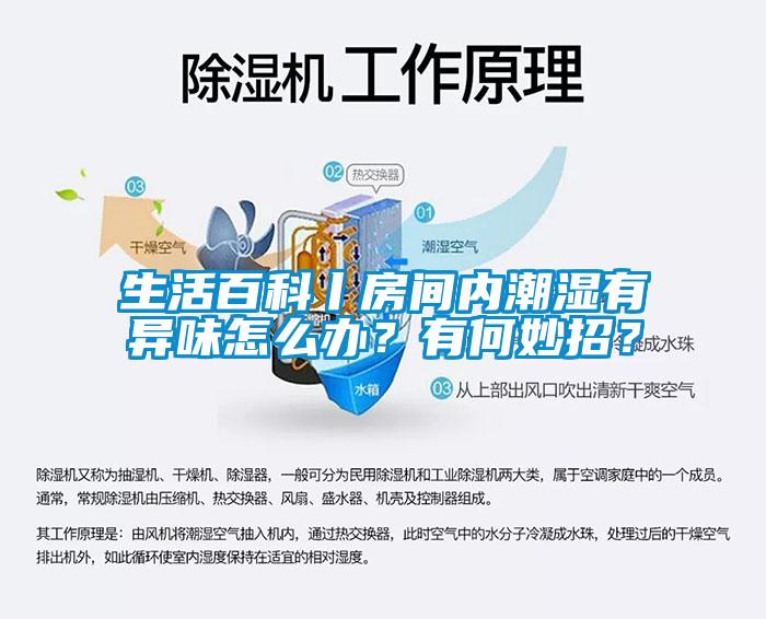 生活百科丨房間內(nèi)潮濕有異味怎么辦？有何妙招？