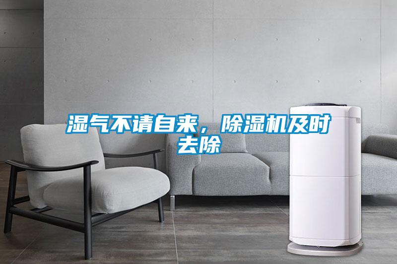 濕氣不請(qǐng)自來(lái)，除濕機(jī)及時(shí)去除