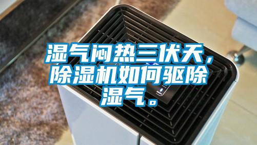 濕氣悶熱三伏天，除濕機如何驅(qū)除濕氣。