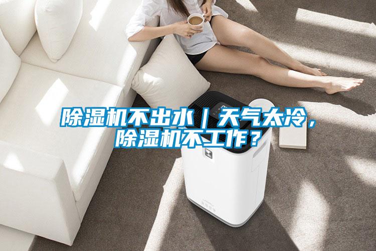 除濕機不出水｜天氣太冷，除濕機不工作？