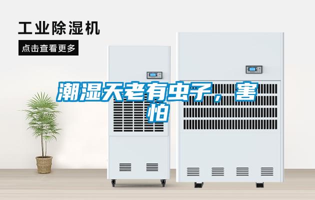潮濕天老有蟲(chóng)子，害怕