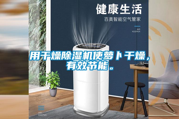 用干燥除濕機使蘿卜干燥，有效節(jié)能。