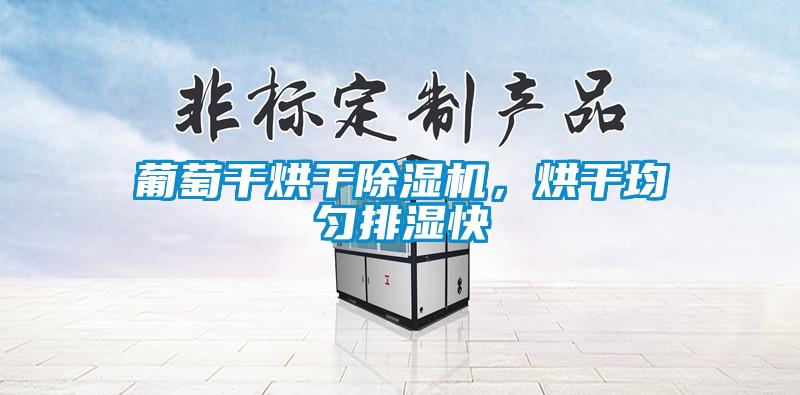 葡萄干烘干除濕機，烘干均勻排濕快