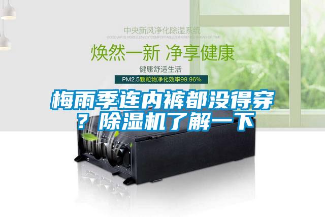 梅雨季連內(nèi)褲都沒(méi)得穿？除濕機(jī)了解一下