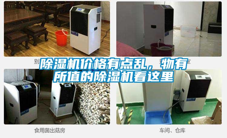 除濕機(jī)價(jià)格有點(diǎn)亂，物有所值的除濕機(jī)看這里