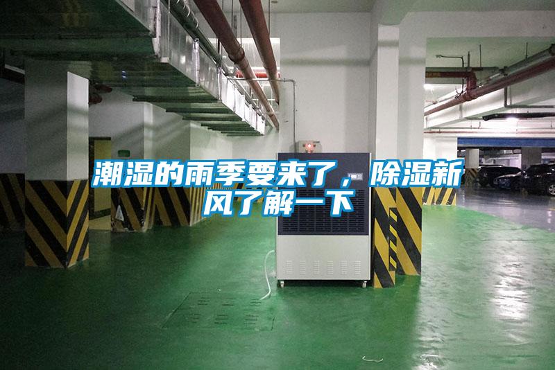 潮濕的雨季要來了，除濕新風了解一下