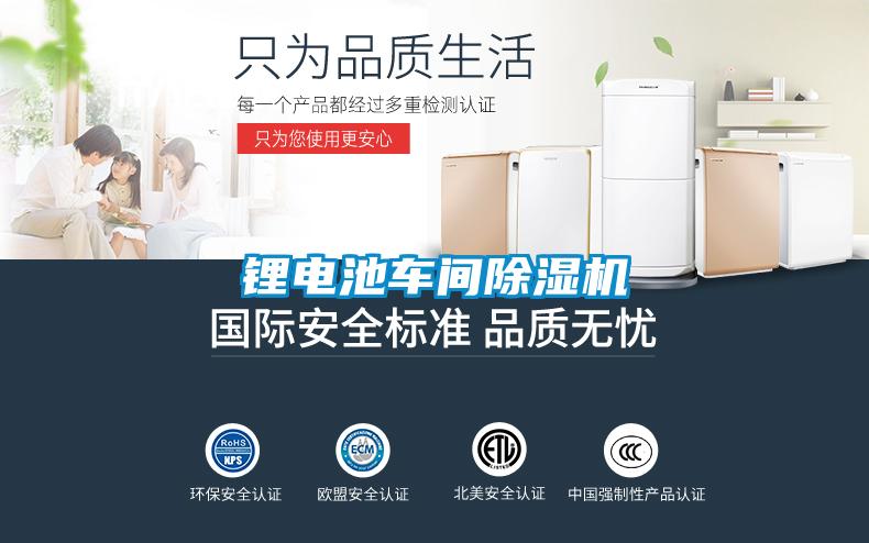 鋰電池車(chē)間除濕機(jī)